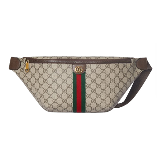 [스페셜오더]GUCCI-839104 9745 구찌 오피디아 라지 벨트백